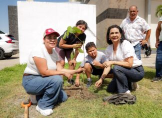 Gobierno de Tampico se suma a Jornada Nacional de Reforestación, más de 18 mil árboles se han sembrado a la fecha