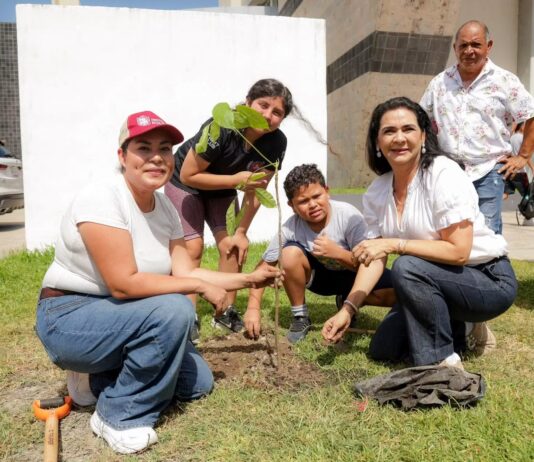 Gobierno de Tampico se suma a Jornada Nacional de Reforestación, más de 18 mil árboles se han sembrado a la fecha