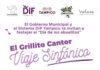 Anuncia DIF Tampico Cuarto Concierto Sinfónico de CRI-CRI para Celebrar a los Abuelitos