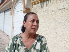 Actividad del sector de la construcción tiende al crecimiento: Evangelina Alejandra Montalvo