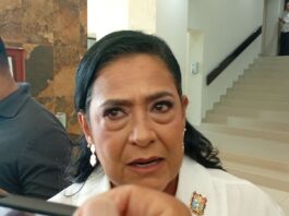 La visa es un tema administrativo y no define a una persona señala legisladora