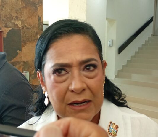 La visa es un tema administrativo y no define a una persona señala legisladora