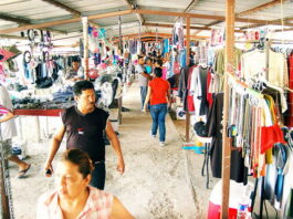 En Tamaulipas 6 de cada 10 jóvenes encuentra trabajo por primera vez: STPS