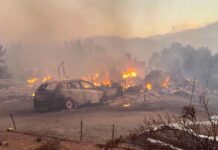 Incendio forestal arrasa Texas y obliga a evacuar