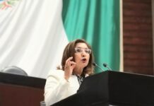 “Detrás de cada estadística hay una familia esperando respuestas”: Letty Gutiérrez pone rostro humano a la agenda legislativa