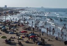Registra Tamaulipas 1.8 millones de visitantes durante el verano y vamos por más: Turismo