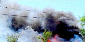 Bomberos acuden a sofocar incendio de pastizal en la Almaguer