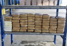 Decomisan agentes de CBP en puentes casi tres millones de dólares en droga