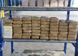 Decomisan agentes de CBP en puentes casi tres millones de dólares en droga