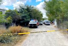 Hallan a persona sin vida en una vivienda de la Colosio