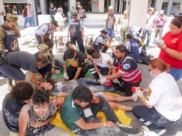 Tampico se une al simulacro nacional con “Edificio Seguro” ante colapso estructural