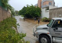 Lluvias dejan árboles y postes caídos