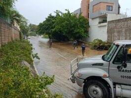 Lluvias dejan árboles y postes caídos