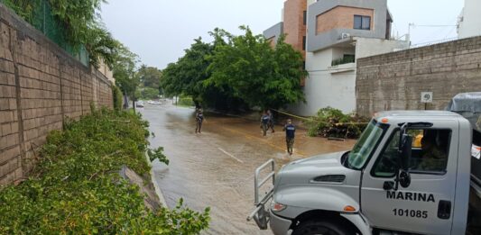 Lluvias dejan árboles y postes caídos