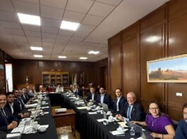 Maki Ortiz impulsa acuerdos para avanzar en legislación de bienestar animal en México