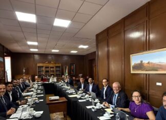 Maki Ortiz impulsa acuerdos para avanzar en legislación de bienestar animal en México