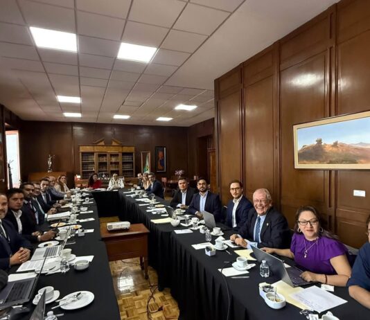 Maki Ortiz impulsa acuerdos para avanzar en legislación de bienestar animal en México