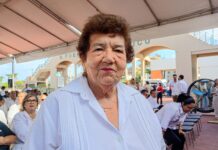 Realizan la entrega de apoyos alimentarios, 63 mil familias se ven beneficiadas en la zona sur