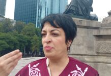 “Se trabaja en México para fortalecer a Tamaulipas en su crecimiento económico y energético”: Iris Francioli Villa