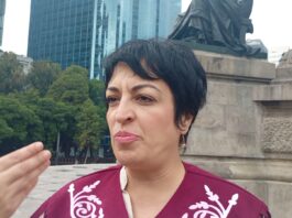 “Se trabaja en México para fortalecer a Tamaulipas en su crecimiento económico y energético”: Iris Francioli Villa