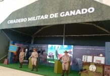 Avance significativo en condiciones de seguridad en Tamaulipas con las fuerzas armadas: Américo Villarreal Anaya