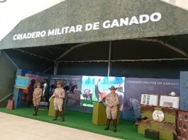 Avance significativo en condiciones de seguridad en Tamaulipas con las fuerzas armadas: Américo Villarreal Anaya