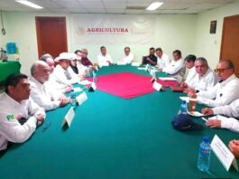 Impulsan Plan de Reconversión para fortalecer el campo de Tamaulipas