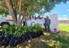 Promueven espacios verdes y sustentables en El Mante