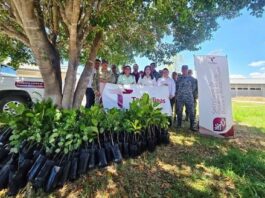 Promueven espacios verdes y sustentables en El Mante