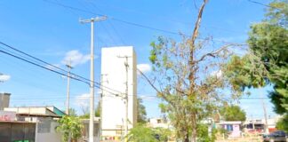 Hallan a persona sin vida en una vivienda de la colonia El Mezquite