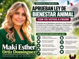 Maki Ortiz celebra aprobación de Ley de Bienestar Animal; Senado la avala con 115 votos