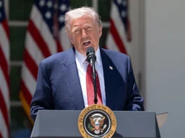 Trump va por políticos mexicanos que ‘ayuden’ a cárteles: ‘Traicionan la soberanía de su propio país’