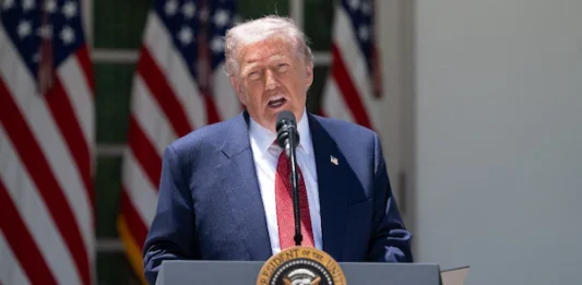 Trump va por políticos mexicanos que ‘ayuden’ a cárteles: ‘Traicionan la soberanía de su propio país’