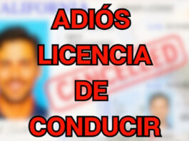 Es ley Texas suspenderá automáticamente la licencia de conducir de quienes tengan este documento en el automóvil