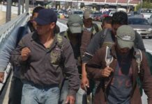Deportación de migrantes a la baja; este año fueron atendidos 645 según el ITM