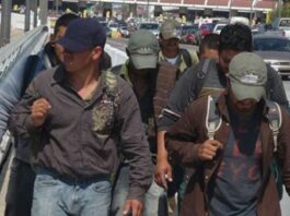 Deportación de migrantes a la baja; este año fueron atendidos 645 según el ITM