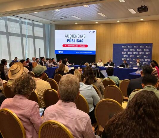 Denuncian ante la CIDH 103 activistas asesinados y 10 desaparecidos al final del gobierno de AMLO