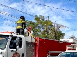 Bomberos acuden a conato de incendio en vivienda