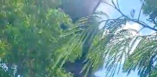 Bomberos sofocan incendio y unidad en predio que dejo daños materiales