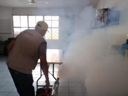 Ante temporada de lluvias IMSS Tamaulipas llama a prevenir el dengue