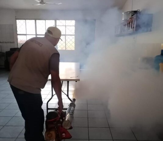 Ante temporada de lluvias IMSS Tamaulipas llama a prevenir el dengue