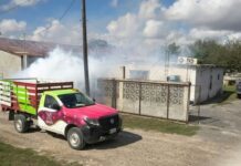 Refuerzan fumigación preventiva contra zancudos en Matamoros