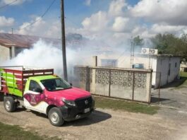 Refuerzan fumigación preventiva contra zancudos en Matamoros