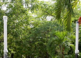 Mónica Villarreal rescata espacios y los transforma en Senderos Seguros para las familias tampiqueñas