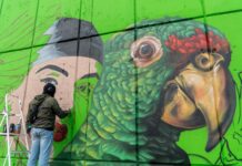 Impulsa Mónica Villarreal el arte urbano con 70 murales en Tampico