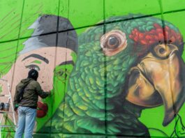 Impulsa Mónica Villarreal el arte urbano con 70 murales en Tampico