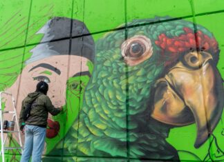 Impulsa Mónica Villarreal el arte urbano con 70 murales en Tampico