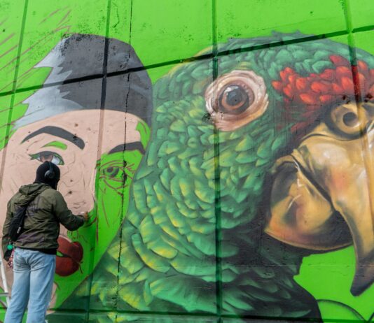 Impulsa Mónica Villarreal el arte urbano con 70 murales en Tampico