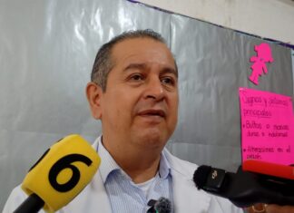 No hay brotes de pediculosis, pero exhortan a padres de familia a revisar a sus hijos