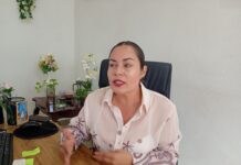 Ante la Fiscalía caso de una mujer que presuntamente desvivió a un pitbull tras atacar a su mascota